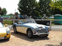Austin Healey 3000  Mk III (1963-1967) (photo prise a Amberieux, 08-2012) (6)